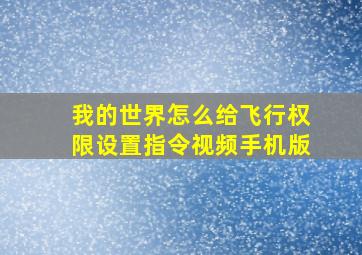 我的世界怎么给飞行权限设置指令视频手机版