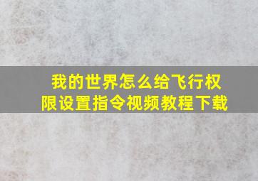 我的世界怎么给飞行权限设置指令视频教程下载