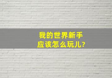 我的世界新手应该怎么玩儿?