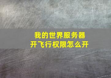 我的世界服务器开飞行权限怎么开