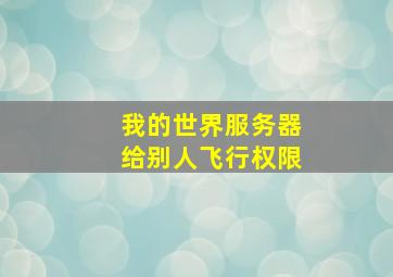 我的世界服务器给别人飞行权限