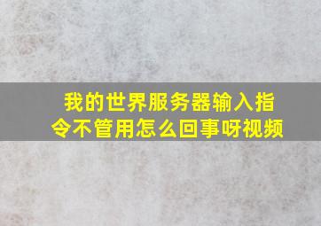 我的世界服务器输入指令不管用怎么回事呀视频