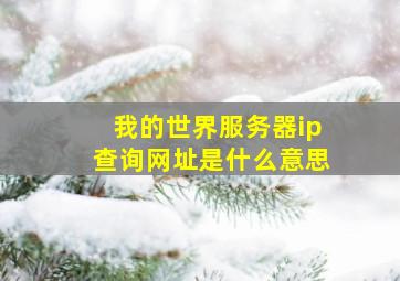 我的世界服务器ip查询网址是什么意思