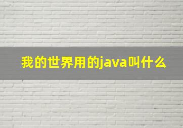 我的世界用的java叫什么