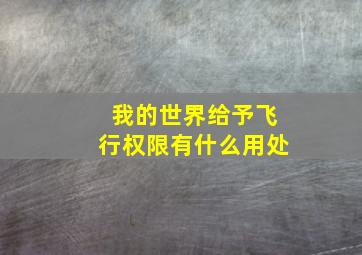 我的世界给予飞行权限有什么用处