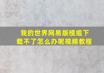 我的世界网易版模组下载不了怎么办呢视频教程