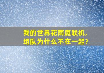 我的世界花雨庭联机,组队为什么不在一起?