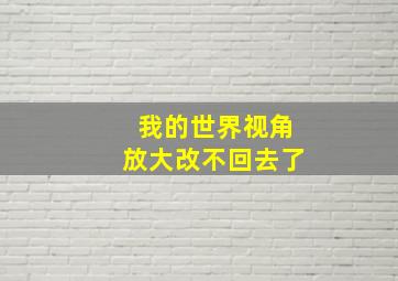 我的世界视角放大改不回去了