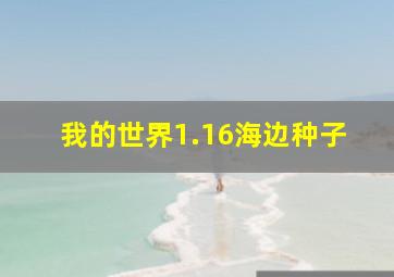 我的世界1.16海边种子