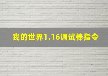 我的世界1.16调试棒指令