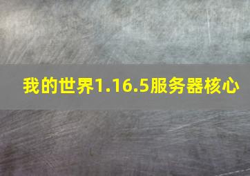 我的世界1.16.5服务器核心