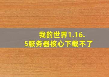 我的世界1.16.5服务器核心下载不了