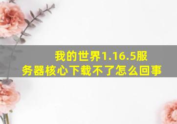 我的世界1.16.5服务器核心下载不了怎么回事