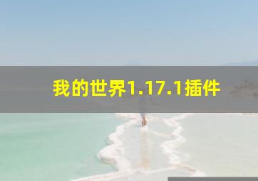 我的世界1.17.1插件