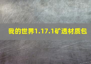 我的世界1.17.1矿透材质包