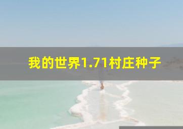 我的世界1.71村庄种子