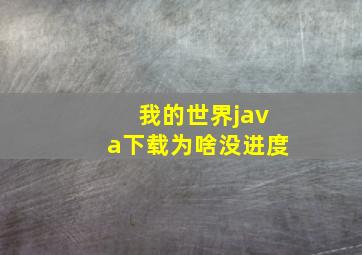 我的世界java下载为啥没进度