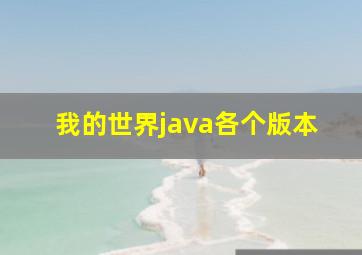 我的世界java各个版本