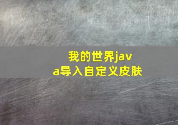 我的世界java导入自定义皮肤