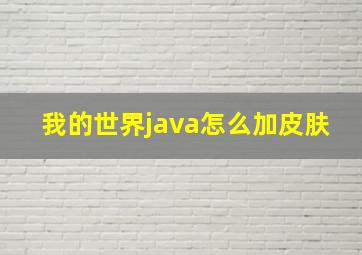 我的世界java怎么加皮肤