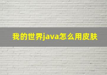 我的世界java怎么用皮肤