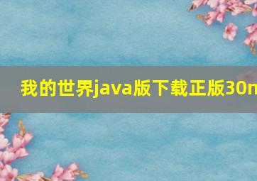 我的世界java版下载正版30m