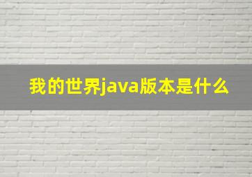 我的世界java版本是什么