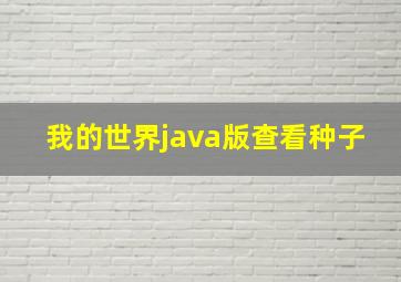 我的世界java版查看种子