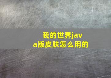 我的世界java版皮肤怎么用的