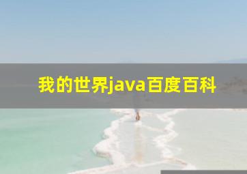 我的世界java百度百科