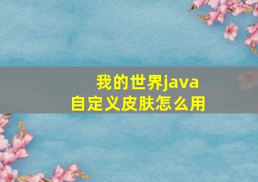 我的世界java自定义皮肤怎么用