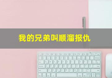 我的兄弟叫顺溜报仇