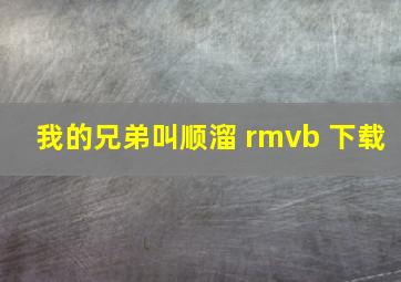 我的兄弟叫顺溜 rmvb 下载