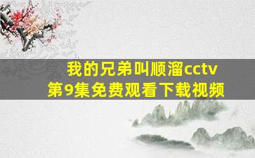 我的兄弟叫顺溜cctv第9集免费观看下载视频