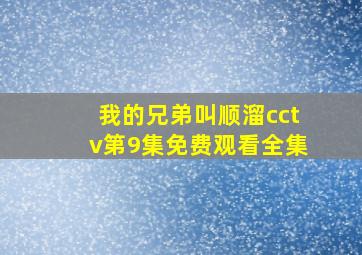 我的兄弟叫顺溜cctv第9集免费观看全集