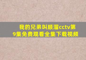 我的兄弟叫顺溜cctv第9集免费观看全集下载视频