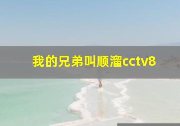 我的兄弟叫顺溜cctv8