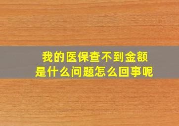 我的医保查不到金额是什么问题怎么回事呢