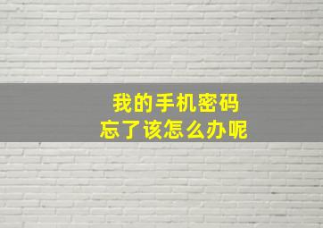 我的手机密码忘了该怎么办呢