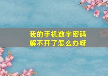 我的手机数字密码解不开了怎么办呀