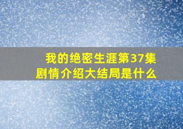 我的绝密生涯第37集剧情介绍大结局是什么