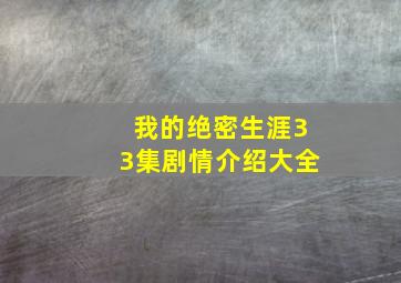 我的绝密生涯33集剧情介绍大全