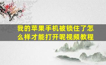 我的苹果手机被锁住了怎么样才能打开呢视频教程