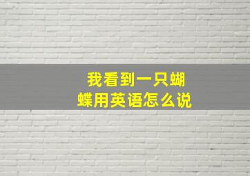 我看到一只蝴蝶用英语怎么说