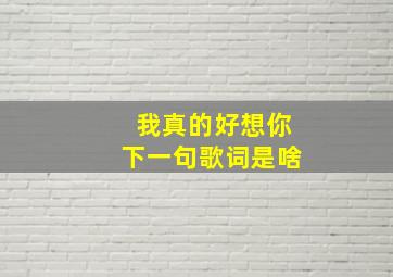 我真的好想你下一句歌词是啥