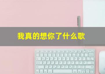 我真的想你了什么歌