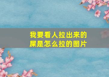 我要看人拉出来的屎是怎么拉的图片