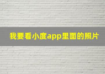 我要看小度app里面的照片