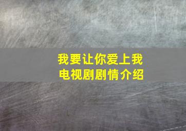 我要让你爱上我 电视剧剧情介绍