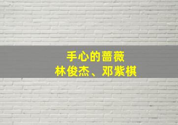 手心的蔷薇 林俊杰、邓紫棋